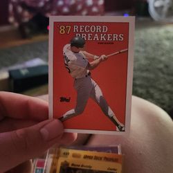 Mark Mcgwire Rare Baseball Card