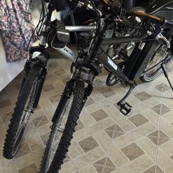 2 X-TREME E-BIKES