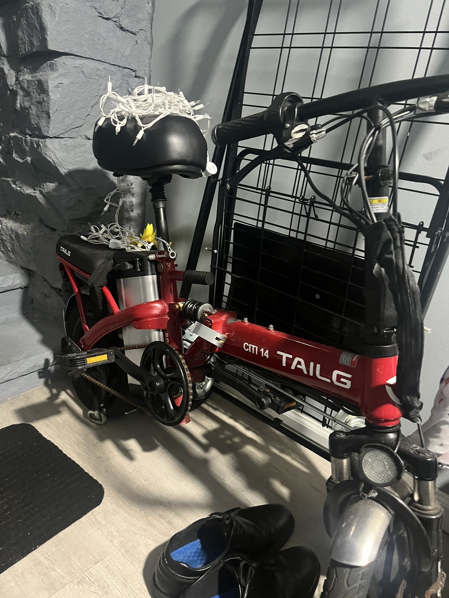 Electric Bike