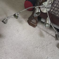 Wall or ceiling mounted 6 bulb SS adjustable light 