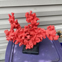 Heavy Coral Decorative Sculpture