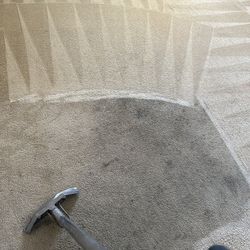 Carpet Care $45 