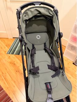 Butterfly Stroller