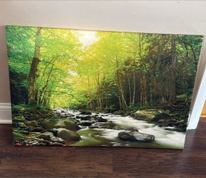 Canvas Painting