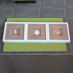 SHELL.ARTWORK