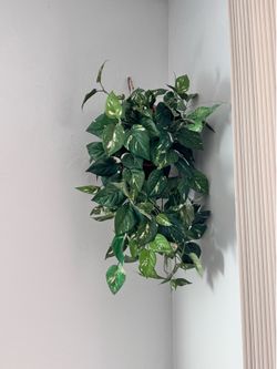 Artificial plants decor