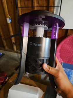Dynatrap Insect Capture