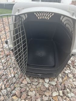Dog Cage 