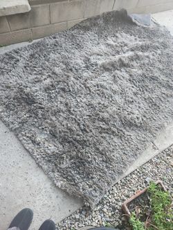 Brand New Thick Rug 25$