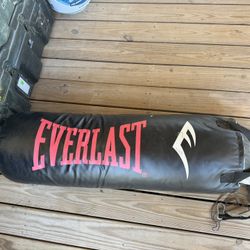 80lb Everlast Punching Bag