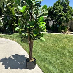 6’ Faux Fig Tree (pot Not Included