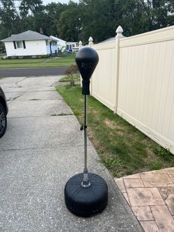 Everlast Reflex Punching Bag