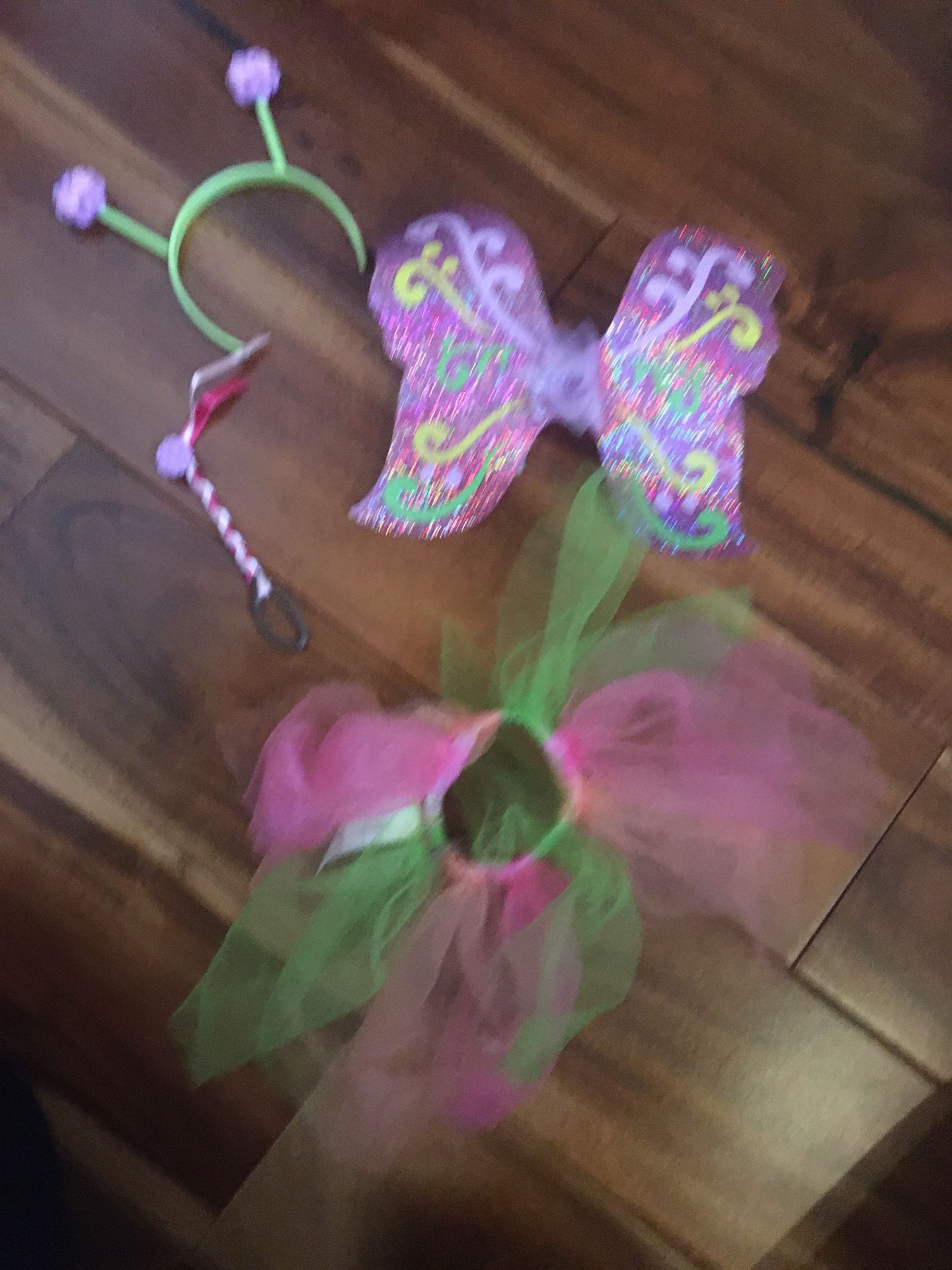 American Girl Wellie Wisher 14” Doll Fairy Costume