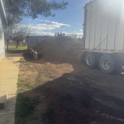 Trailadas De Cascara De Almendra 