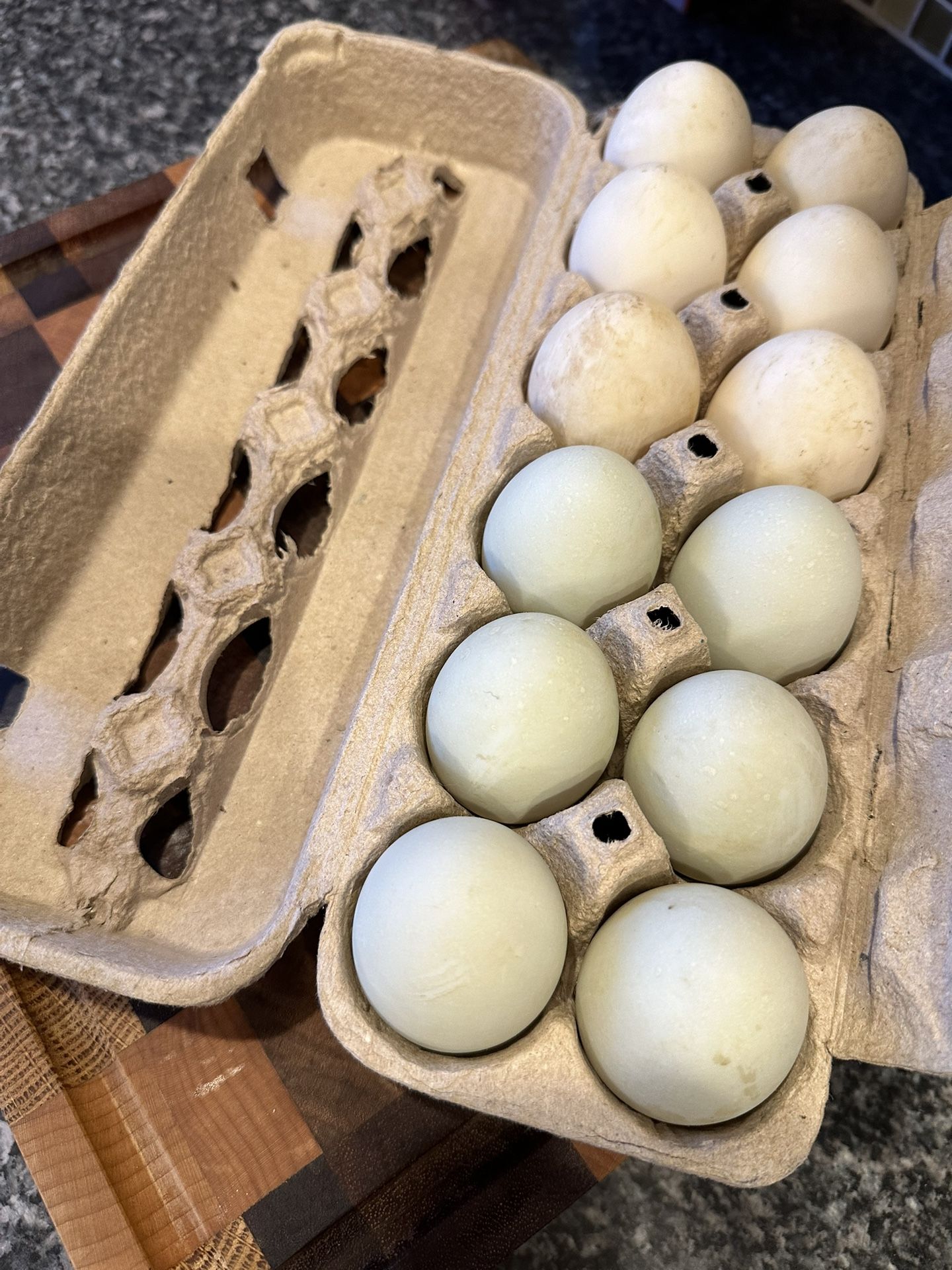 Farm Fresh Duck Eggs
