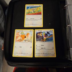 Pokemon Card Birds 