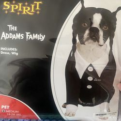 Pet Costume 