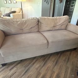 🛋️ The Couch That Was Chosen