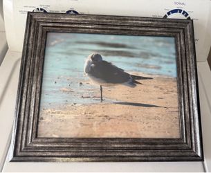 Nautical framed photograph