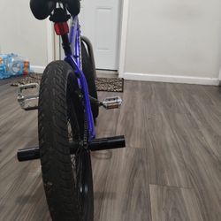 Mongoose 2.0 Bike