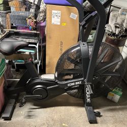 Rogue Echo Bike (2020) + Wind Guard – Like New 