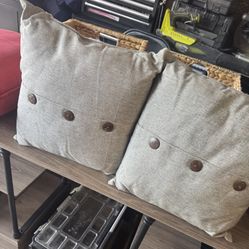 2 Throw Pillows Like New 16X16 $5 For Both Gilbert And Ray Rd. Check All Pics And Offers.