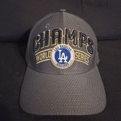 2020 MLB Campions hat