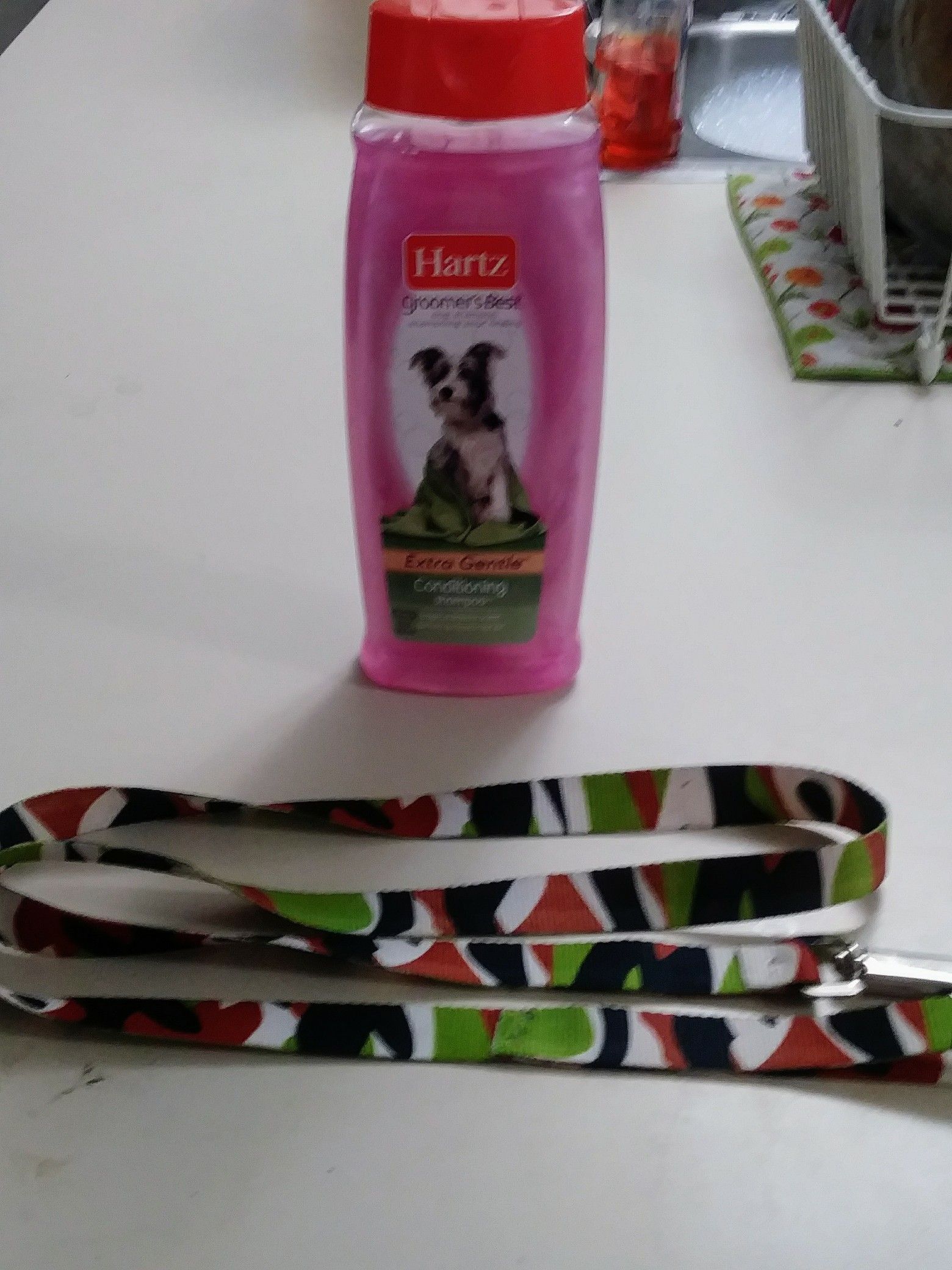 Dog shampoo and conditioner with dog leash