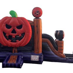Pumpkin Combo Wet N Dry $3295