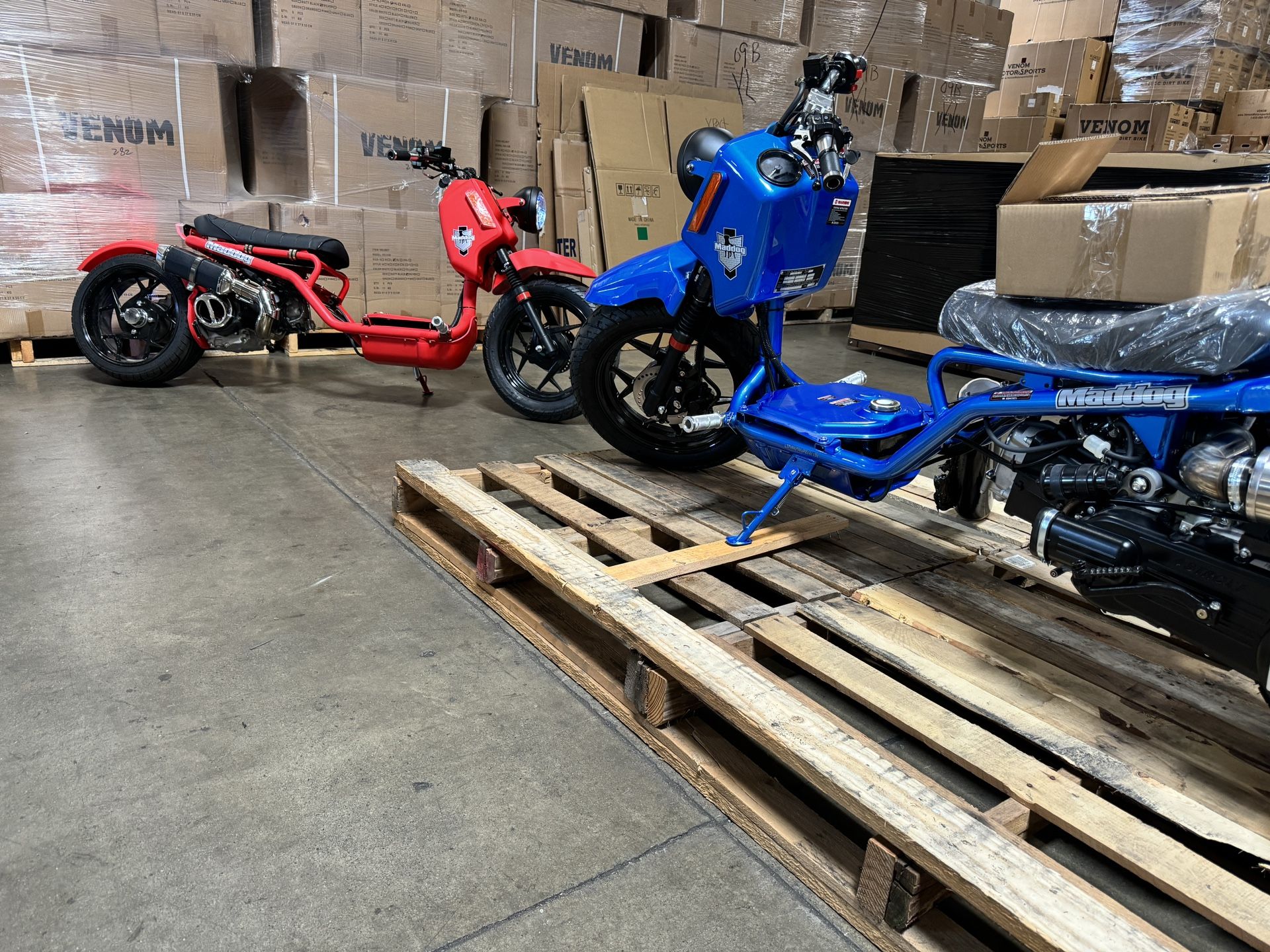 Maddog Scooters | 50cc And 150cc | Street Legal | Stretched Out Ruckus ...