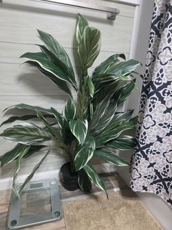 Big Faux plant
