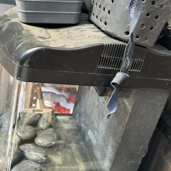 Fish Tank