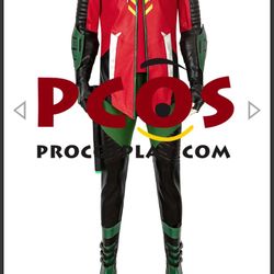 Robin Costume New