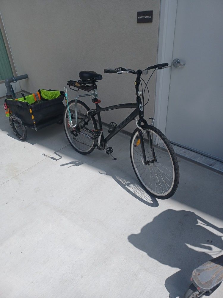 Infinity Dog Grocery Bike