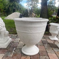 Concrete Pot
