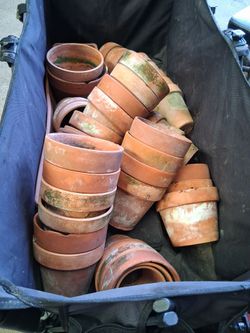 Clay Pots