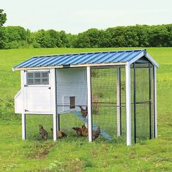 Large Chicken Coop