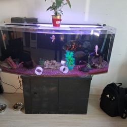 100 Gallon Bow Front Aquarium With Stand