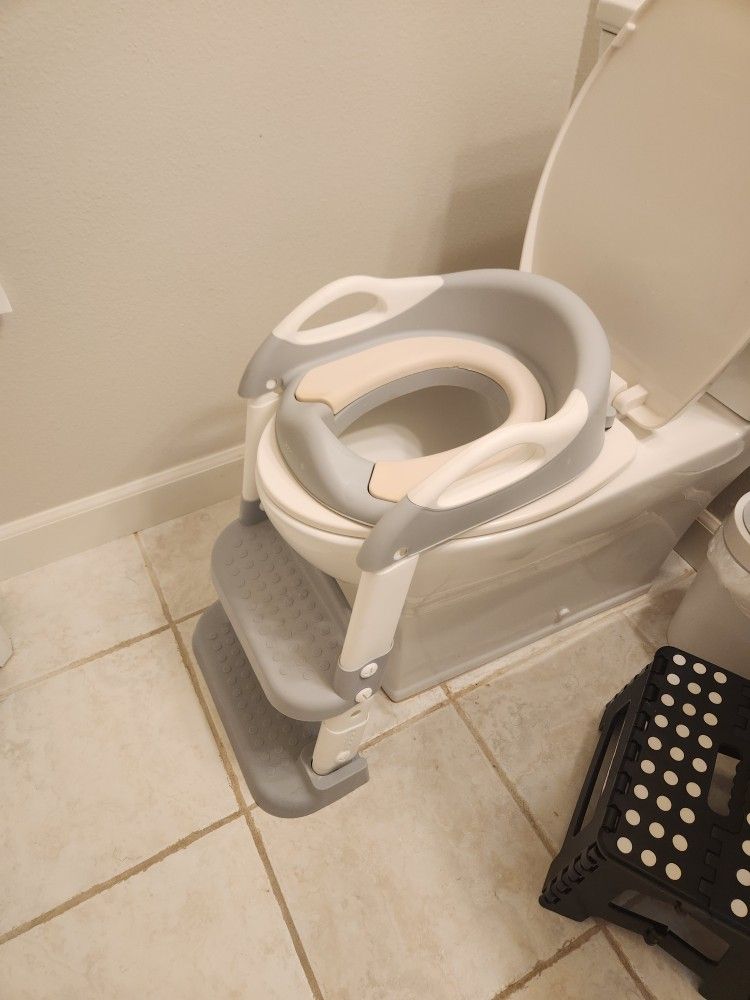 Potty Training Ladder
