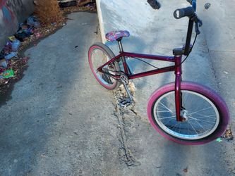 Bmx cult devotion