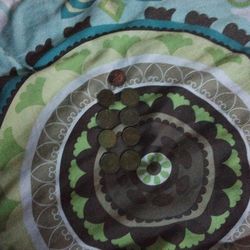 Old rare chunky cheese toxins