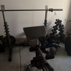 Golds Gyms Weight Set 