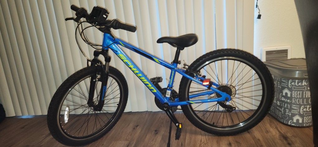 Schwinn Thrasher