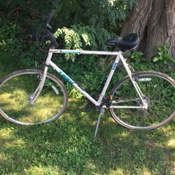 Large Tall Bikes $40 - $70