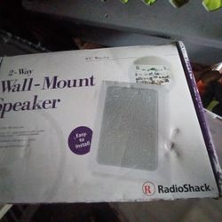 In wall speaker with amplifier