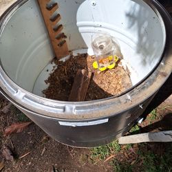 Chicken baby chicken home