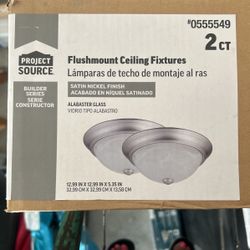 Flushmount 2 Ct Lighting Fixture