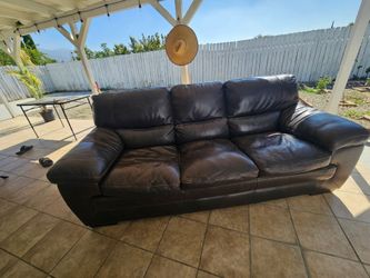 Dark brown leather couch