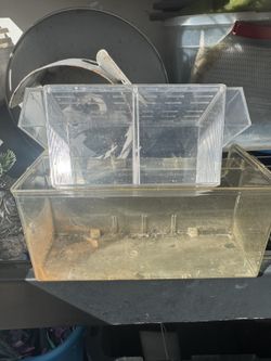 Acrylic Breeder Box + Small Acrylic Tank