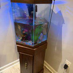 20 Gallon Tank 